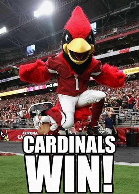 cardinals fan forum.